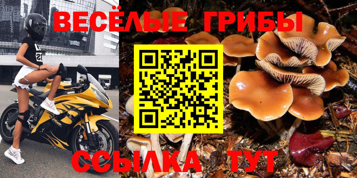 Великий Устюг  Псилоцибиновые грибы GOLDEN TEACHER  Вход с VPN 