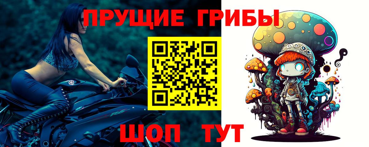 Псилоцибиновые грибы ЛСД Великий Устюг